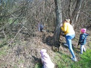 Ukliďme Česko - ukliďme cestu do lesa